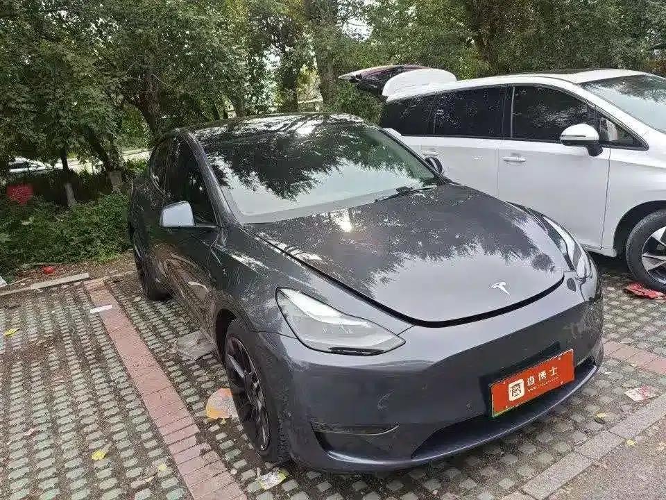 Model Y 2021 Long Range All-Wheel Drive — миниатюра 2