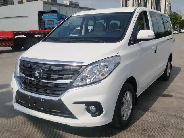 Lingzhi PLUS 2024 2.0L CNG Manual Deluxe 7-Seater