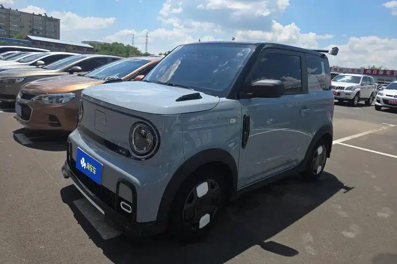 Panda 2025 Model 210km Panda Gokart — миниатюра 1