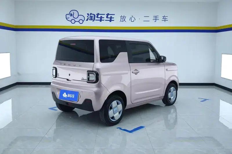 Panda 2023 Model 200km Panda Mini Endurance Bear — миниатюра 3