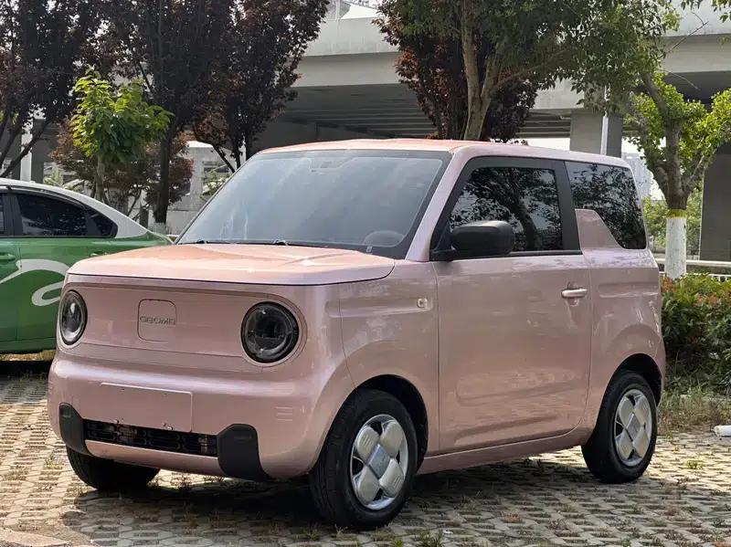 Panda 2023 Model 200km Panda Mini Endurance Bear — миниатюра 1