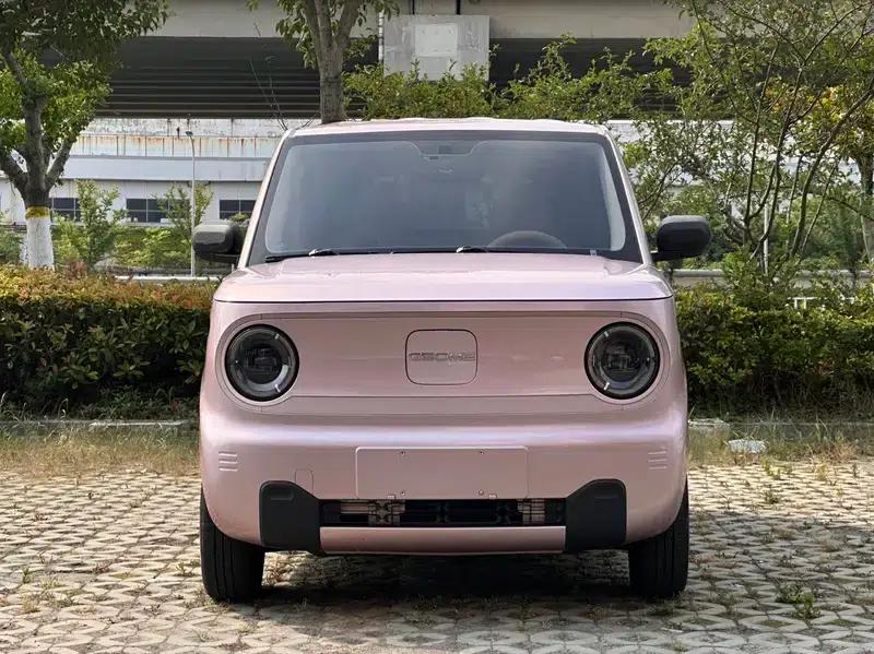 Panda 2023 Model 200km Panda Mini Endurance Bear — миниатюра 2