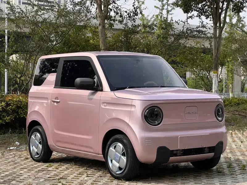 Panda 2023 Model 200km Panda Mini Endurance Bear — миниатюра 3