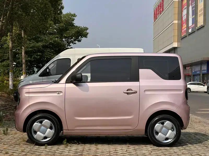 Panda 2023 Model 200km Panda Mini Endurance Bear — миниатюра 4