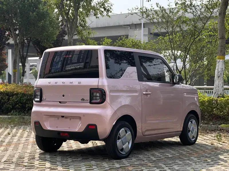 Panda 2023 Model 200km Panda Mini Endurance Bear — миниатюра 7