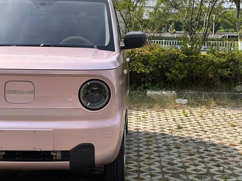Panda 2023 Model 200km Panda Mini Endurance Bear — миниатюра 9