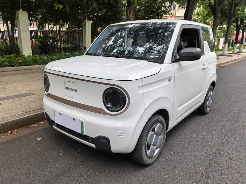 Panda 2023 120km Panda Mini Super Cute Bear — миниатюра 1