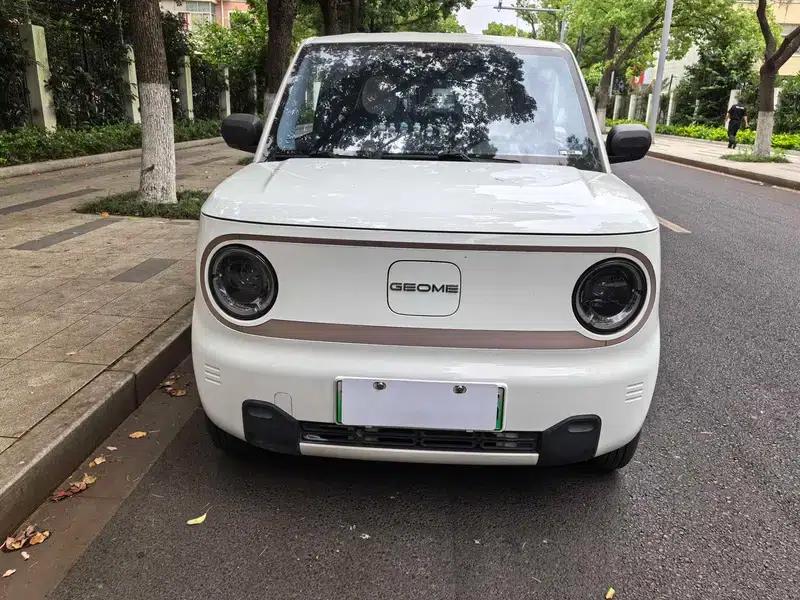 Panda 2023 120km Panda Mini Super Cute Bear — миниатюра 2