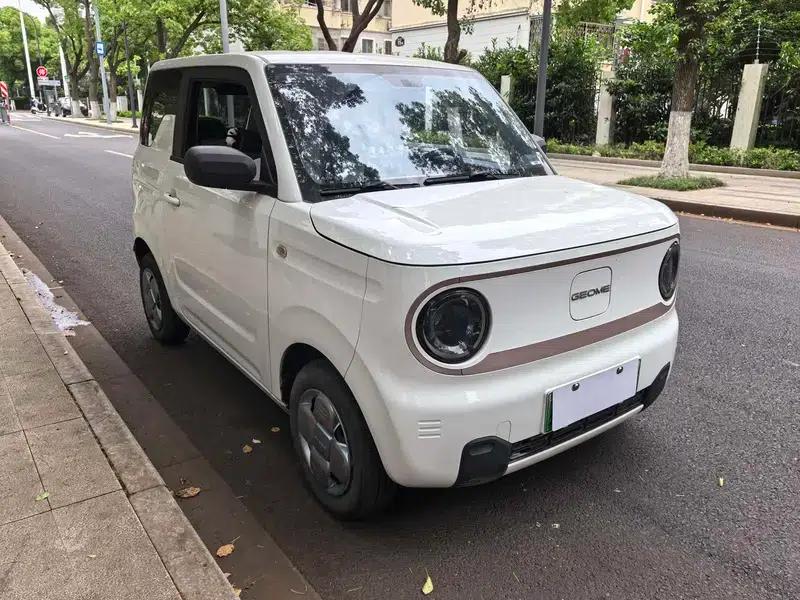 Panda 2023 120km Panda Mini Super Cute Bear — миниатюра 3