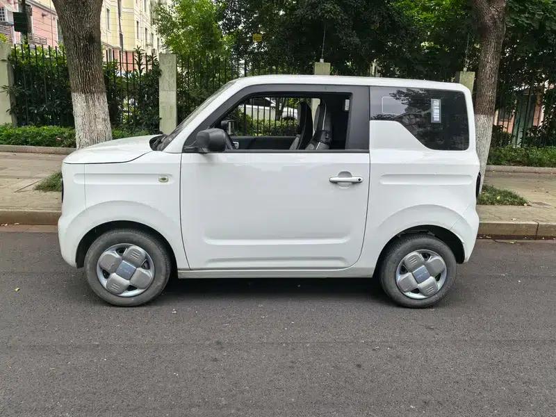 Panda 2023 120km Panda Mini Super Cute Bear — миниатюра 4