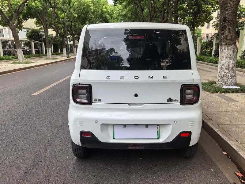 Panda 2023 120km Panda Mini Super Cute Bear — миниатюра 6