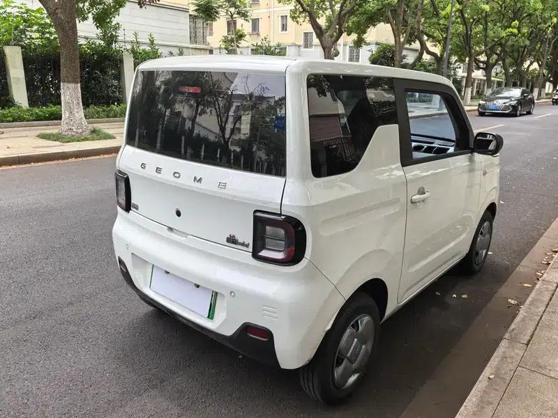 Panda 2023 120km Panda Mini Super Cute Bear — миниатюра 7
