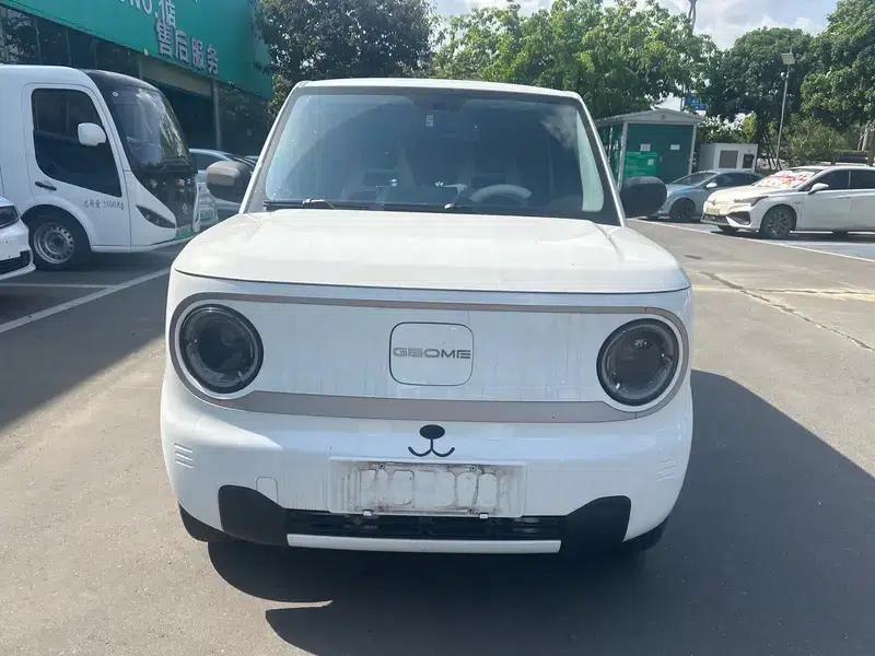 Panda 2023 Model 200km Panda Mini Endurance Bear — миниатюра 2