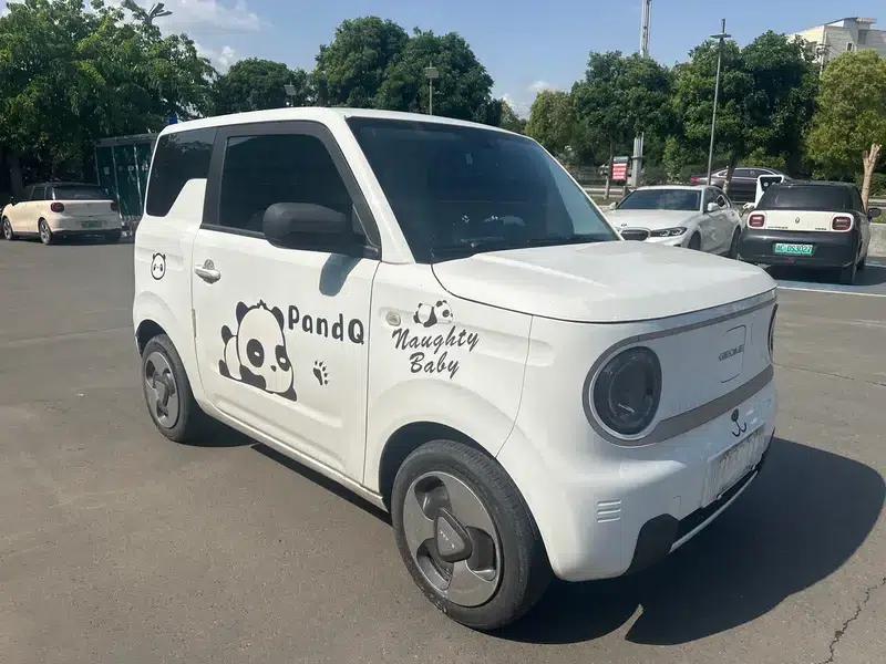 Panda 2023 Model 200km Panda Mini Endurance Bear — миниатюра 3