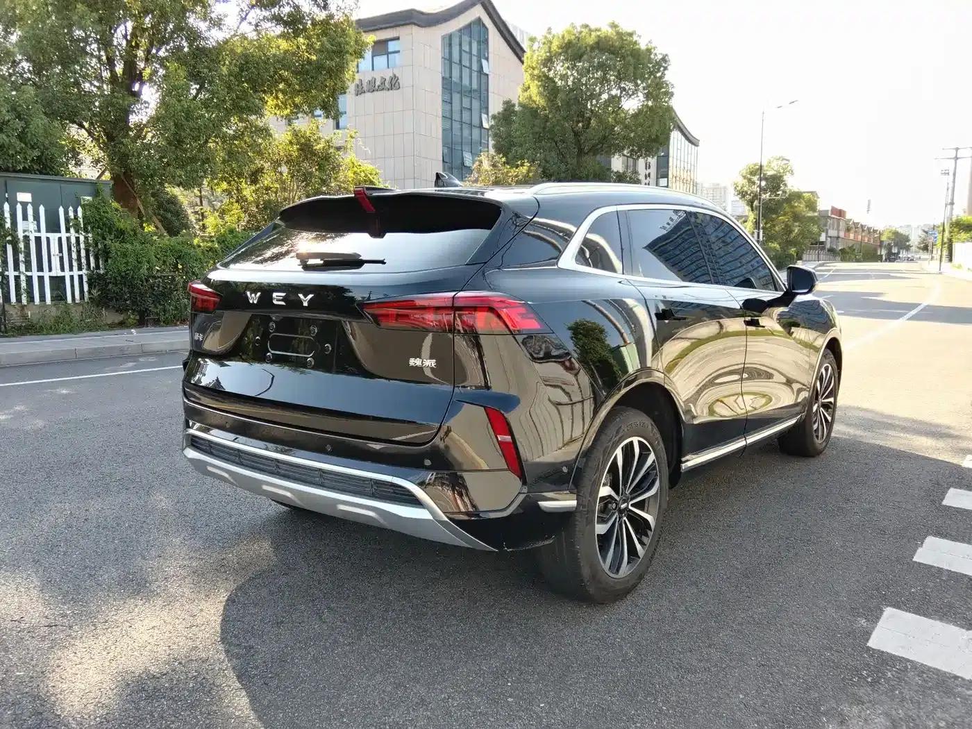Wei brand Mocha 2021 2.0T 2WD Extra Rich Edition — миниатюра 15