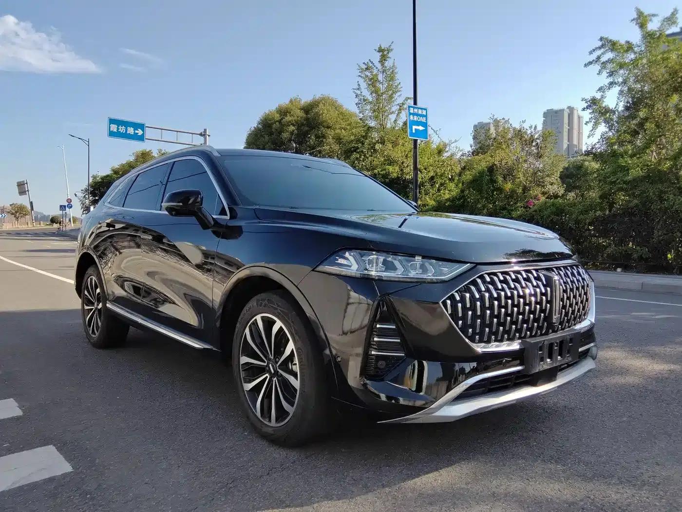 Wei brand Mocha 2021 2.0T 2WD Extra Rich Edition — миниатюра 3