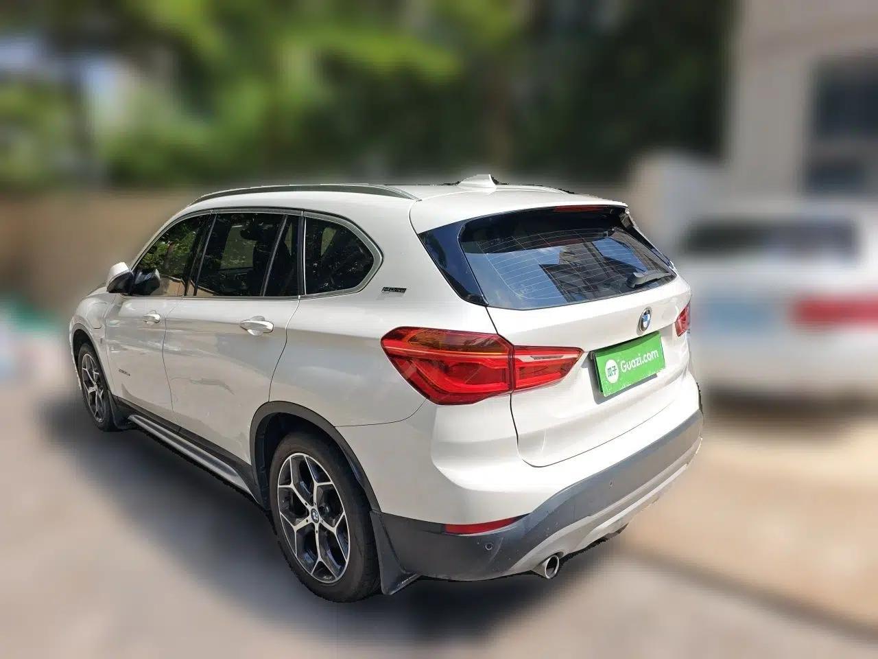 BMW X1 New Energy 2018 xDrive25Le Luxury Model — миниатюра 4