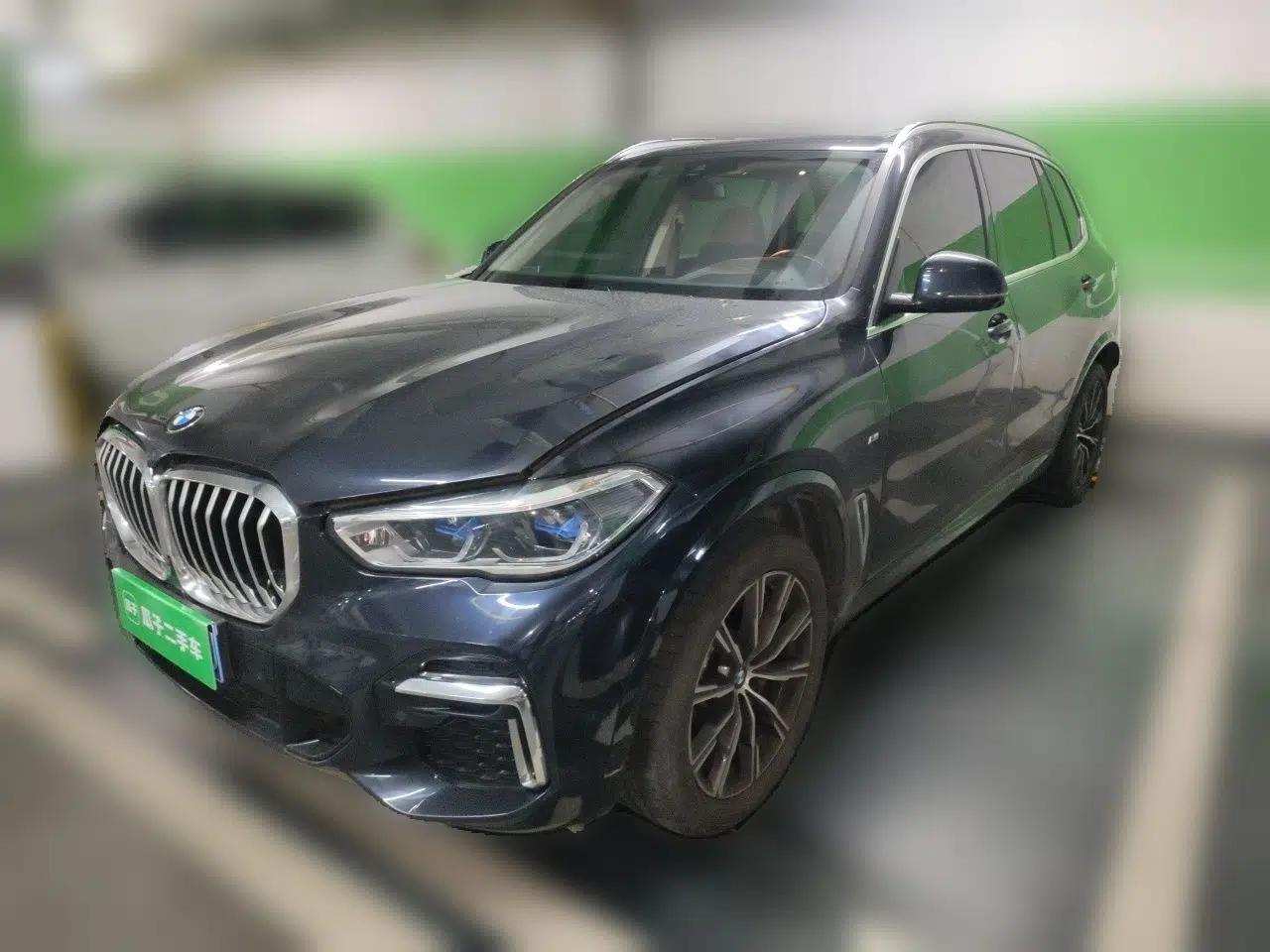 BMW X5 2022 Restyled xDrive 30Li Luxury Version M Sport Package — миниатюра 1