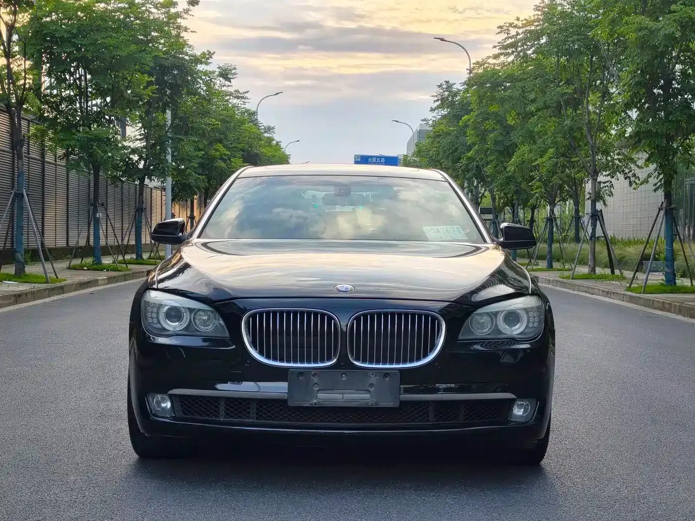 BMW 7 Series 2009 740Li Luxury — миниатюра 2
