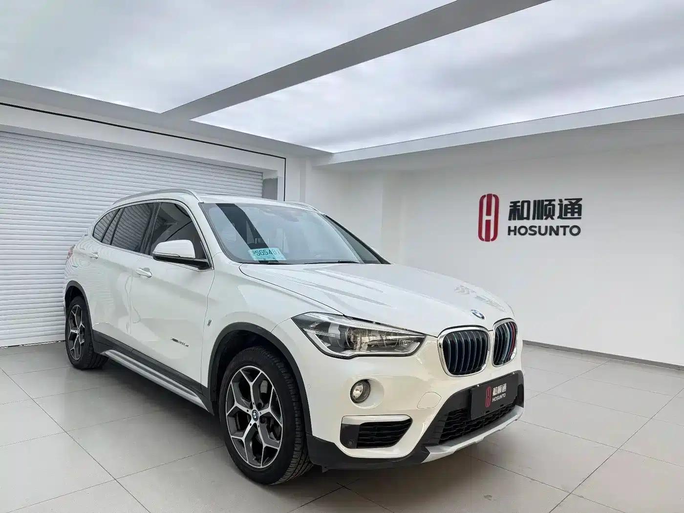 BMW X1 PHEV 2018 xDrive25Le Luxury — миниатюра 3