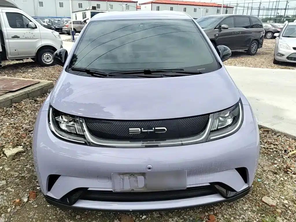 Dolphin 2023 420km Freedom Edition — миниатюра 3