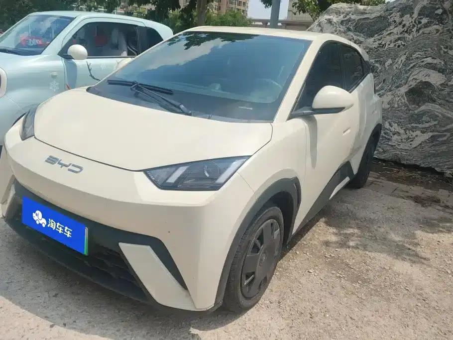 Seagull 2023 Vitality Edition — миниатюра 1
