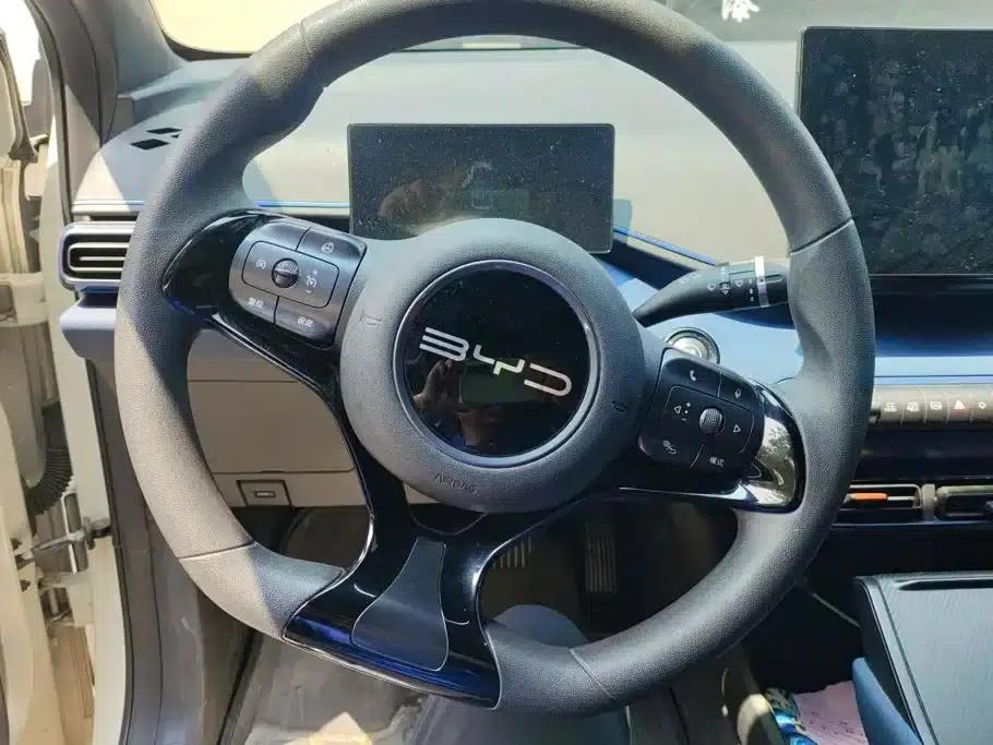 Seagull 2023 Vitality Edition — миниатюра 15