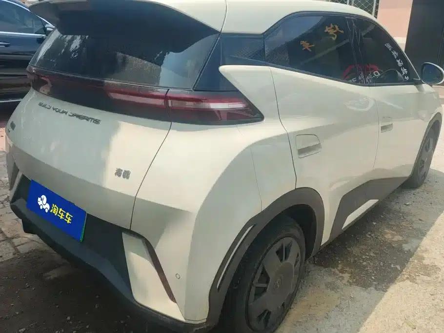 Seagull 2023 Vitality Edition — миниатюра 3