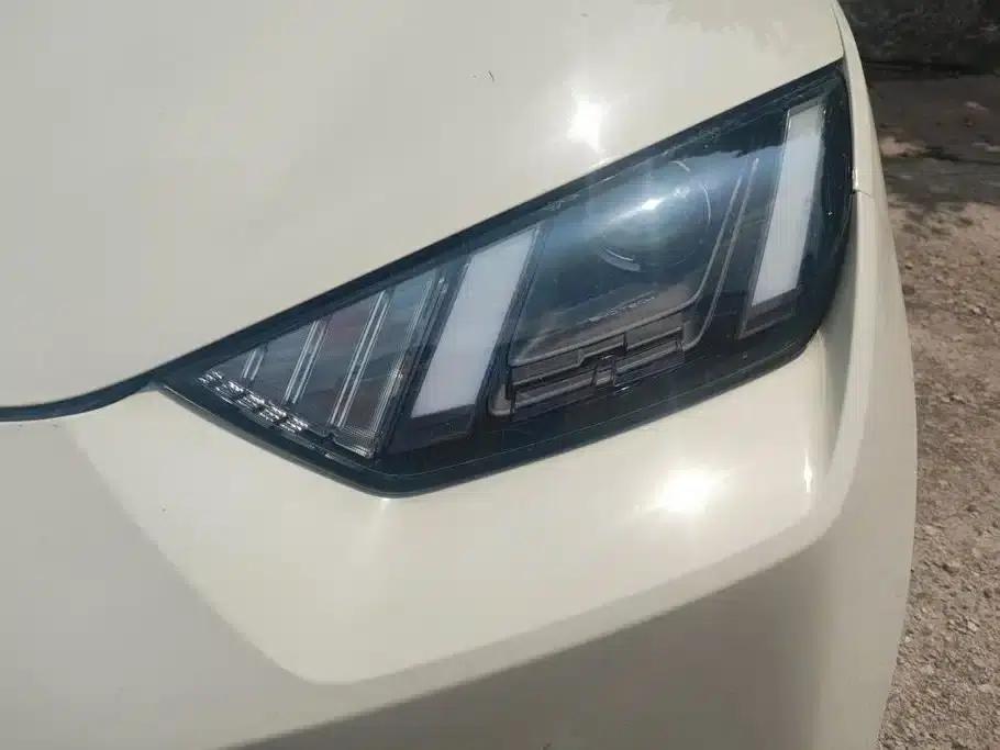 Seagull 2023 Vitality Edition — миниатюра 5