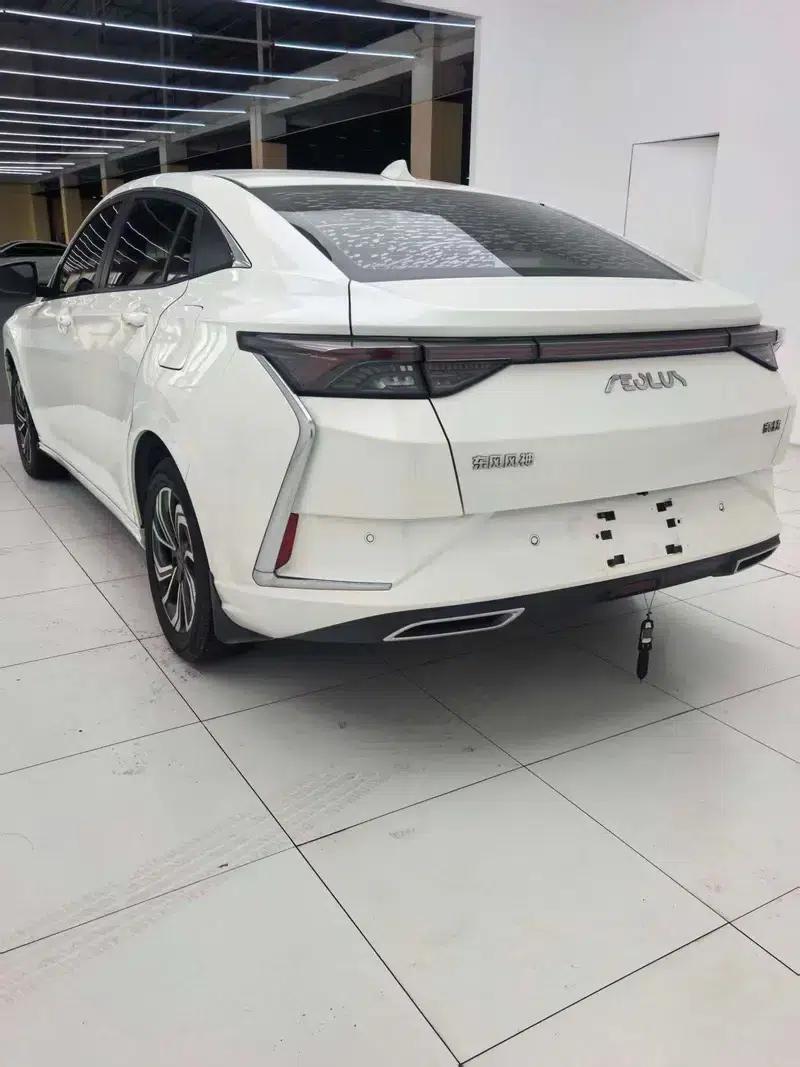 Aeolus Yixuan 2021 230T Automatic Chasing Knight Edition — миниатюра 4