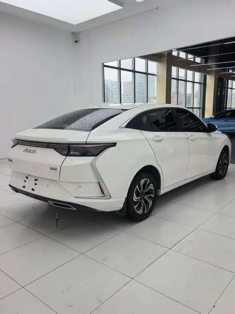 Aeolus Yixuan 2021 230T Automatic Chasing Knight Edition — миниатюра 5