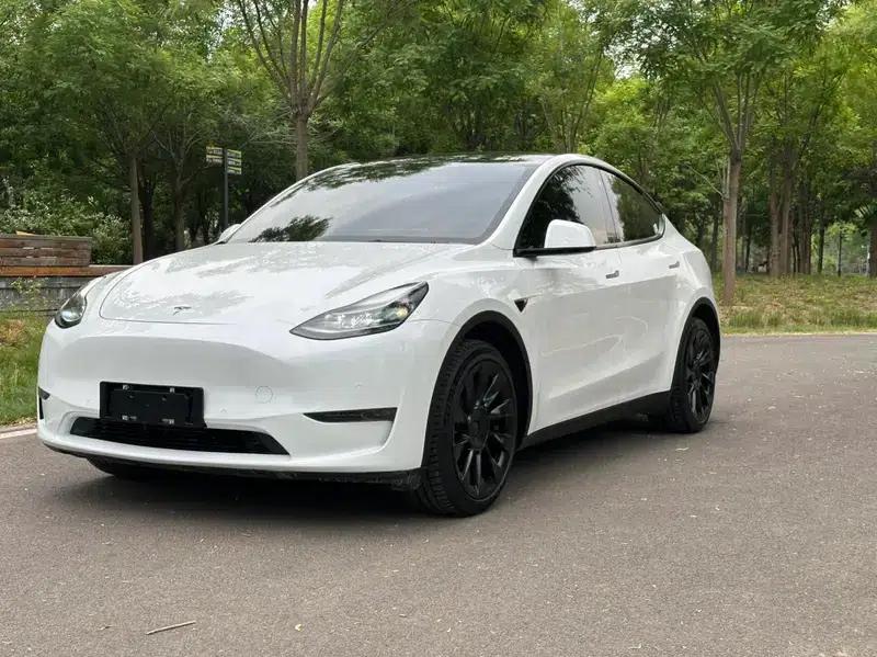 Model Y 2021 Long Range All-Wheel Drive — миниатюра 1