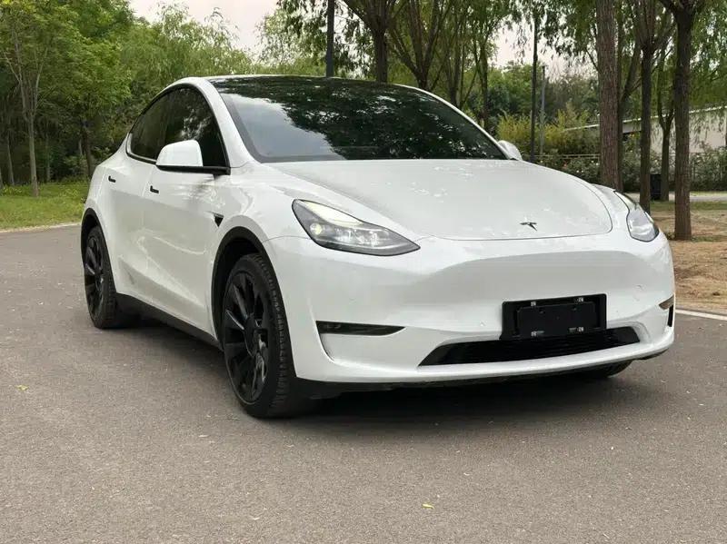 Model Y 2021 Long Range All-Wheel Drive — миниатюра 3