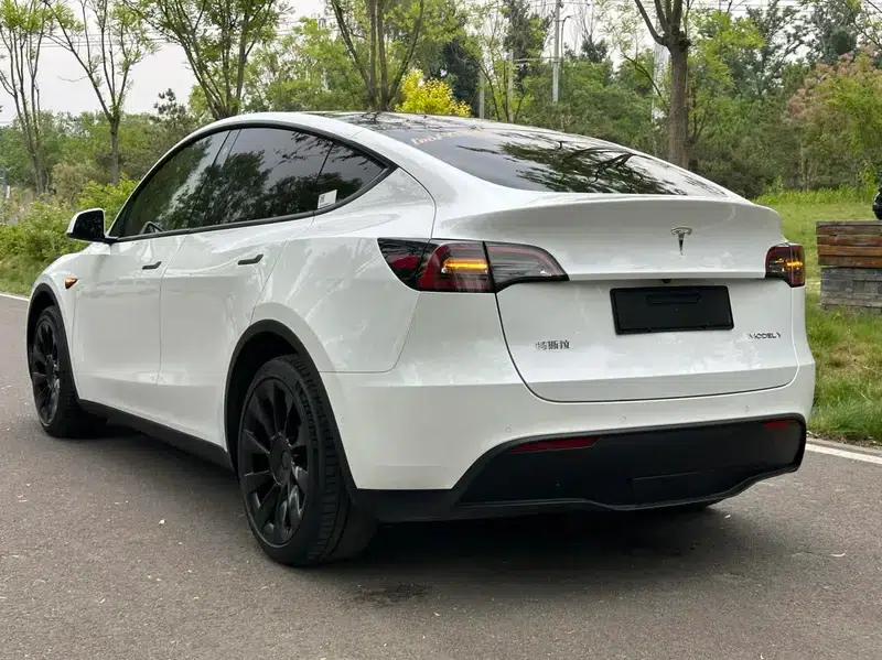Model Y 2021 Long Range All-Wheel Drive — миниатюра 4