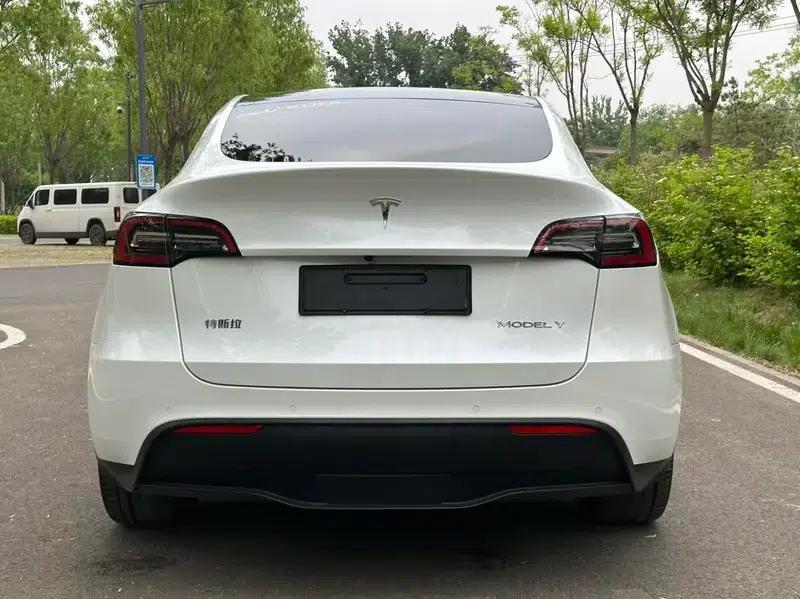 Model Y 2021 Long Range All-Wheel Drive — миниатюра 5
