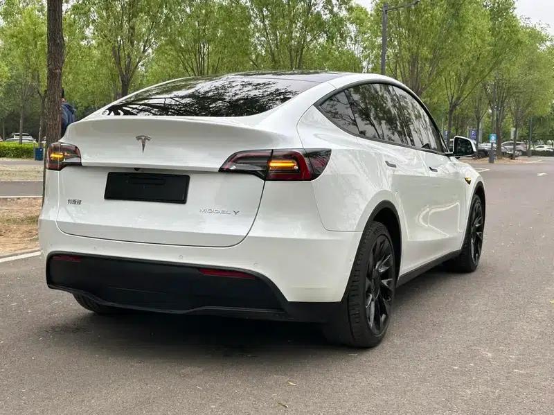 Model Y 2021 Long Range All-Wheel Drive — миниатюра 6