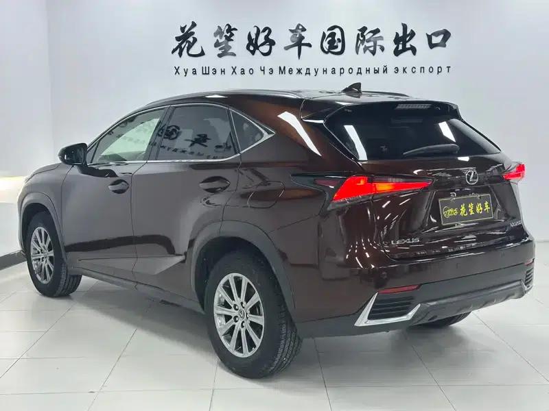 Lexus NX 2020 200 AWD Sport Edition (China VI Emission Standard) — миниатюра 4