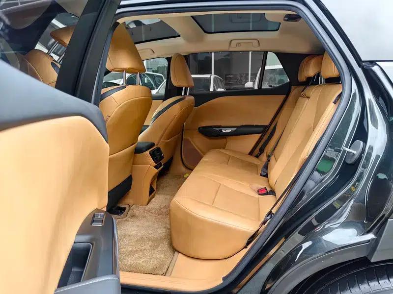 Lexus RZ 2023 450e DIRECT4 Luxury Edition — миниатюра 15