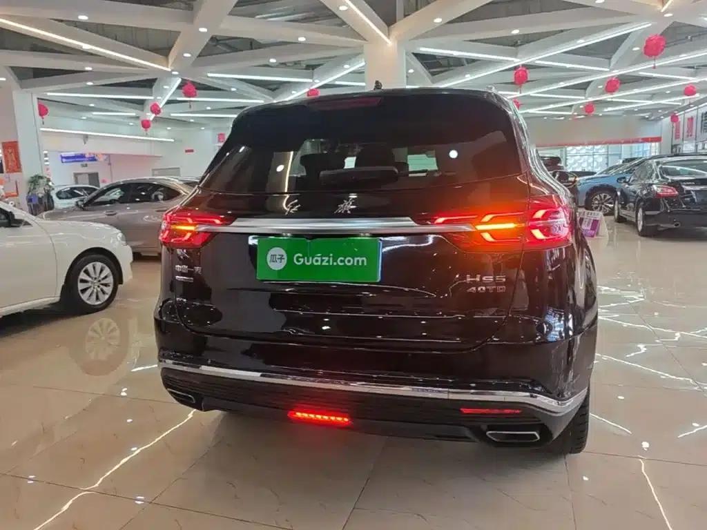 Hongqi HS5 2019 2.0T Intelligent Flagship Enjoy 4WD Edition — миниатюра 6