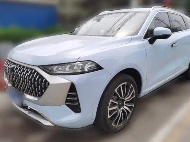 Wey Mocha 2021 2.0T Two-Wheel-Drive Premium Edition