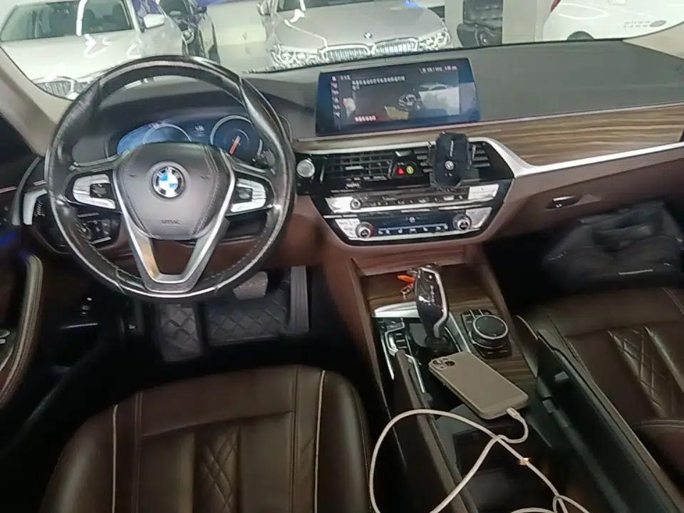 BMW 5 Series New Energy 2019 Updated Version 530Le Luxury Package — миниатюра 12