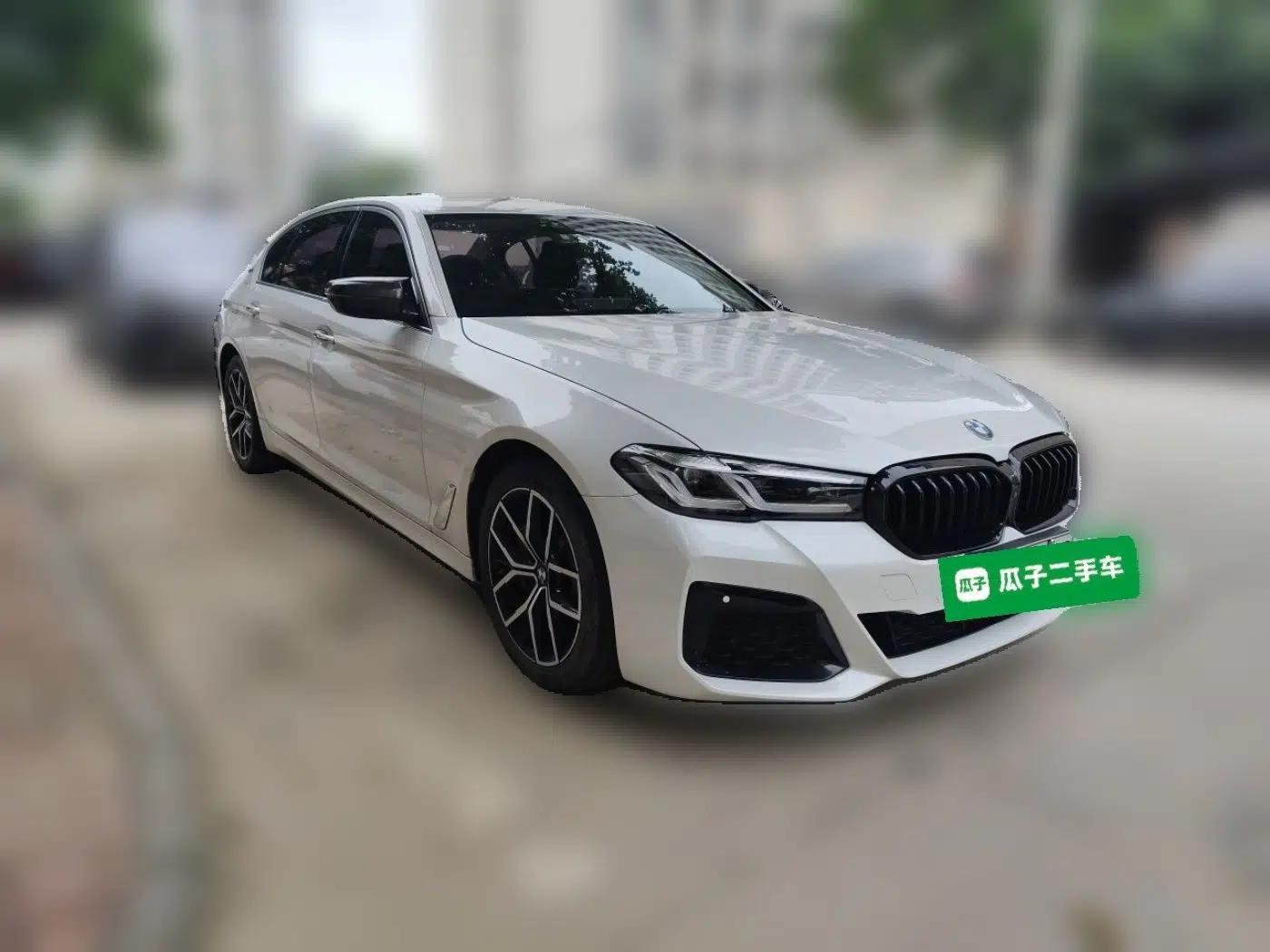 BMW 5 Series New Energy 2019 530Le Luxury Package — миниатюра 3