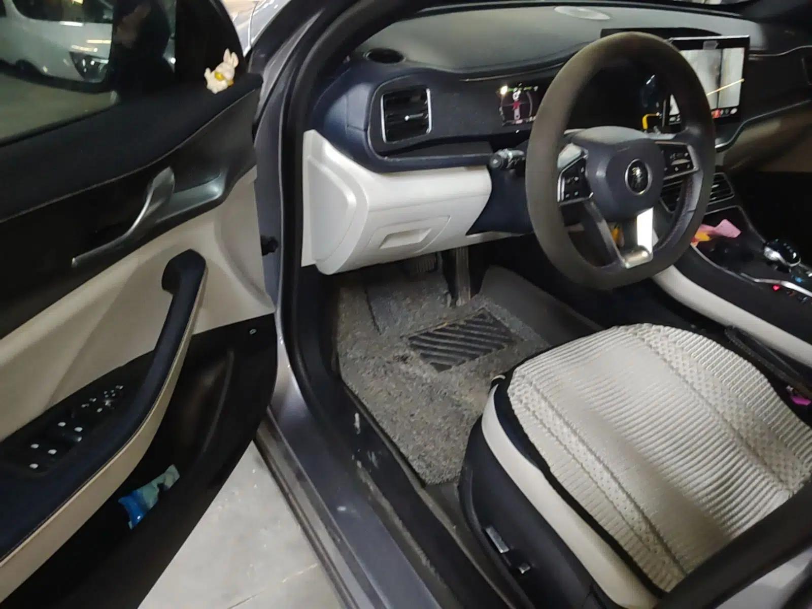 BYD Qin PLUS 2021 DM-i 55KM Flagship Model — миниатюра 23