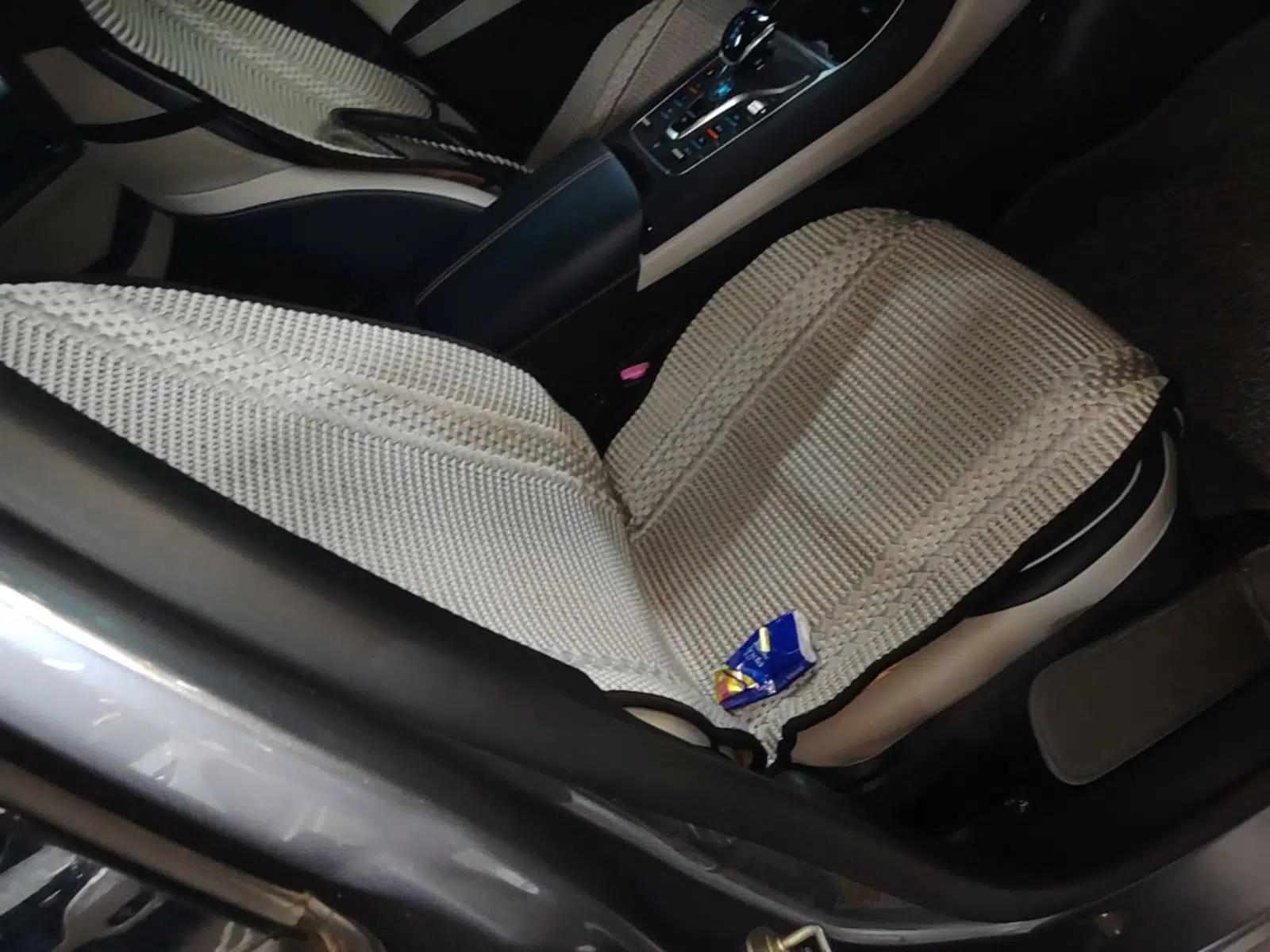 BYD Qin PLUS 2021 DM-i 55KM Flagship Model — миниатюра 24