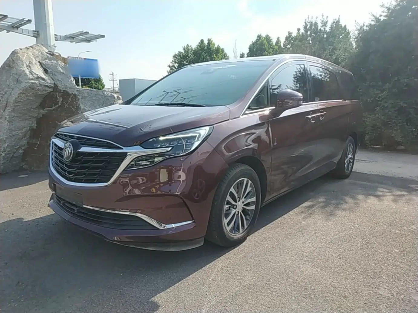 Buick GL8 2022 ES Landtrek 653T Luxury Edition — миниатюра 1