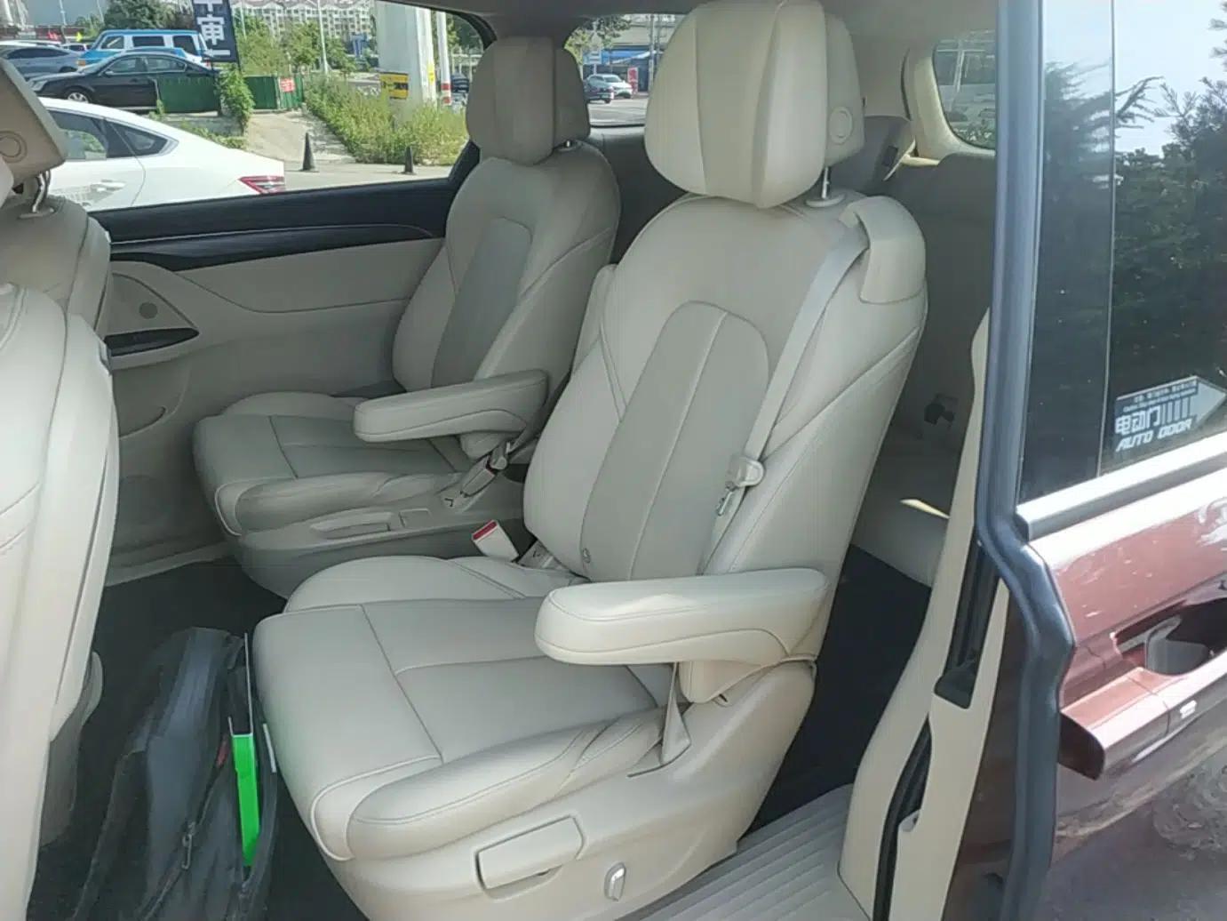 Buick GL8 2022 ES Landtrek 653T Luxury Edition — миниатюра 20