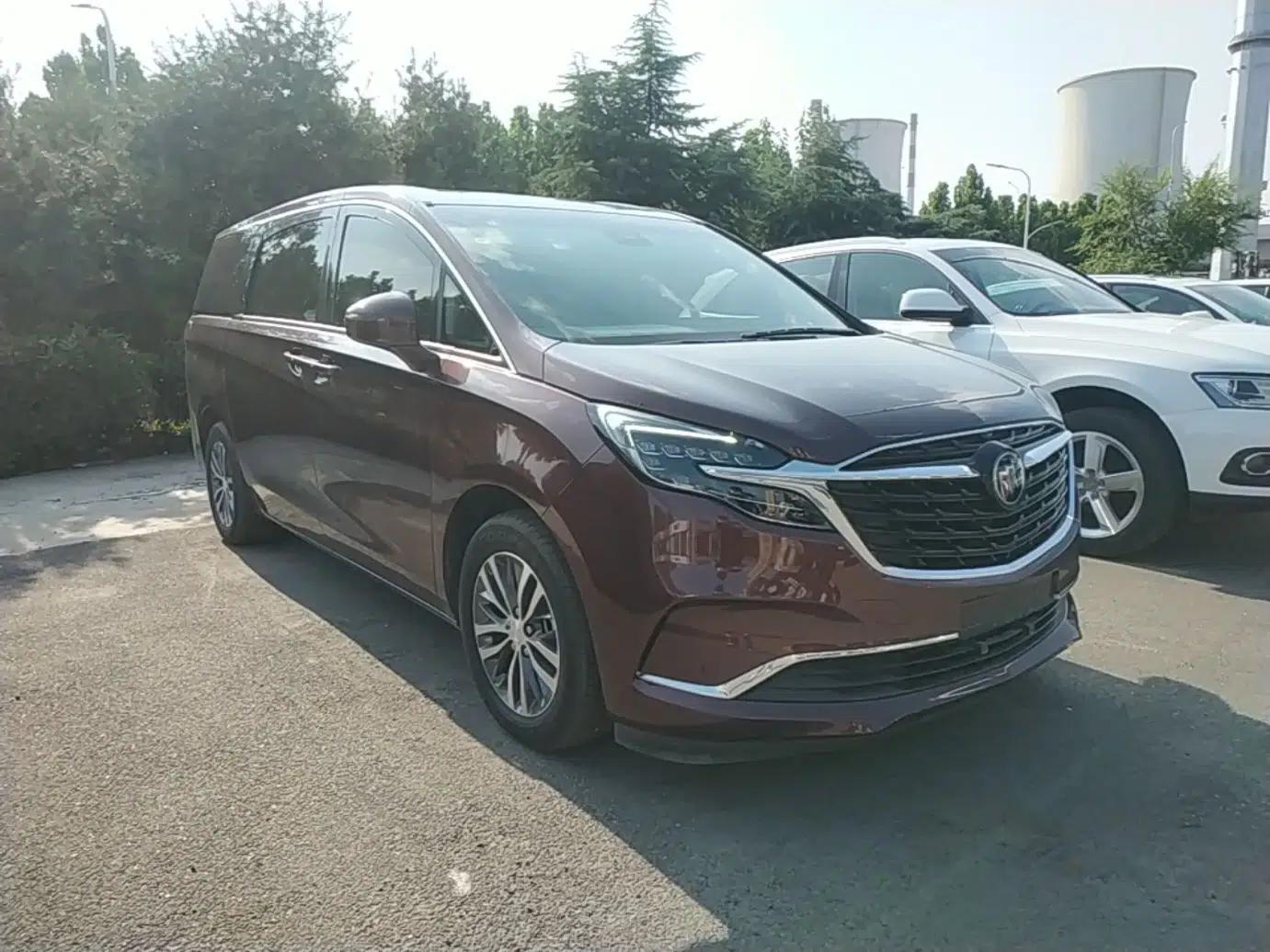 Buick GL8 2022 ES Landtrek 653T Luxury Edition — миниатюра 3