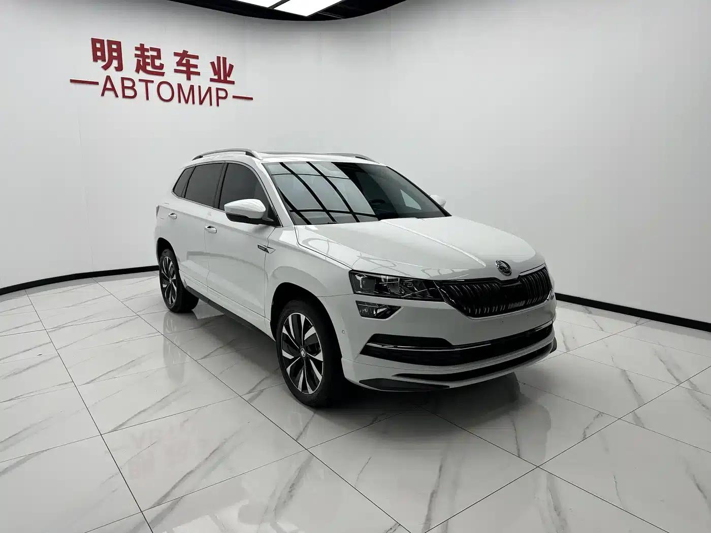 Karoq 2023 TSI280 Luxury Edition — миниатюра 3