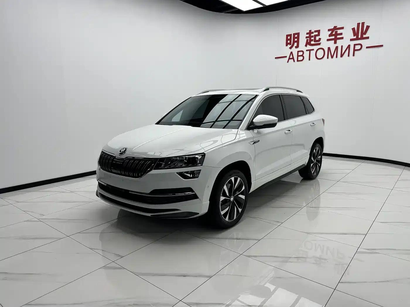 Karoq 2023 TSI280 Luxury Edition — миниатюра 4