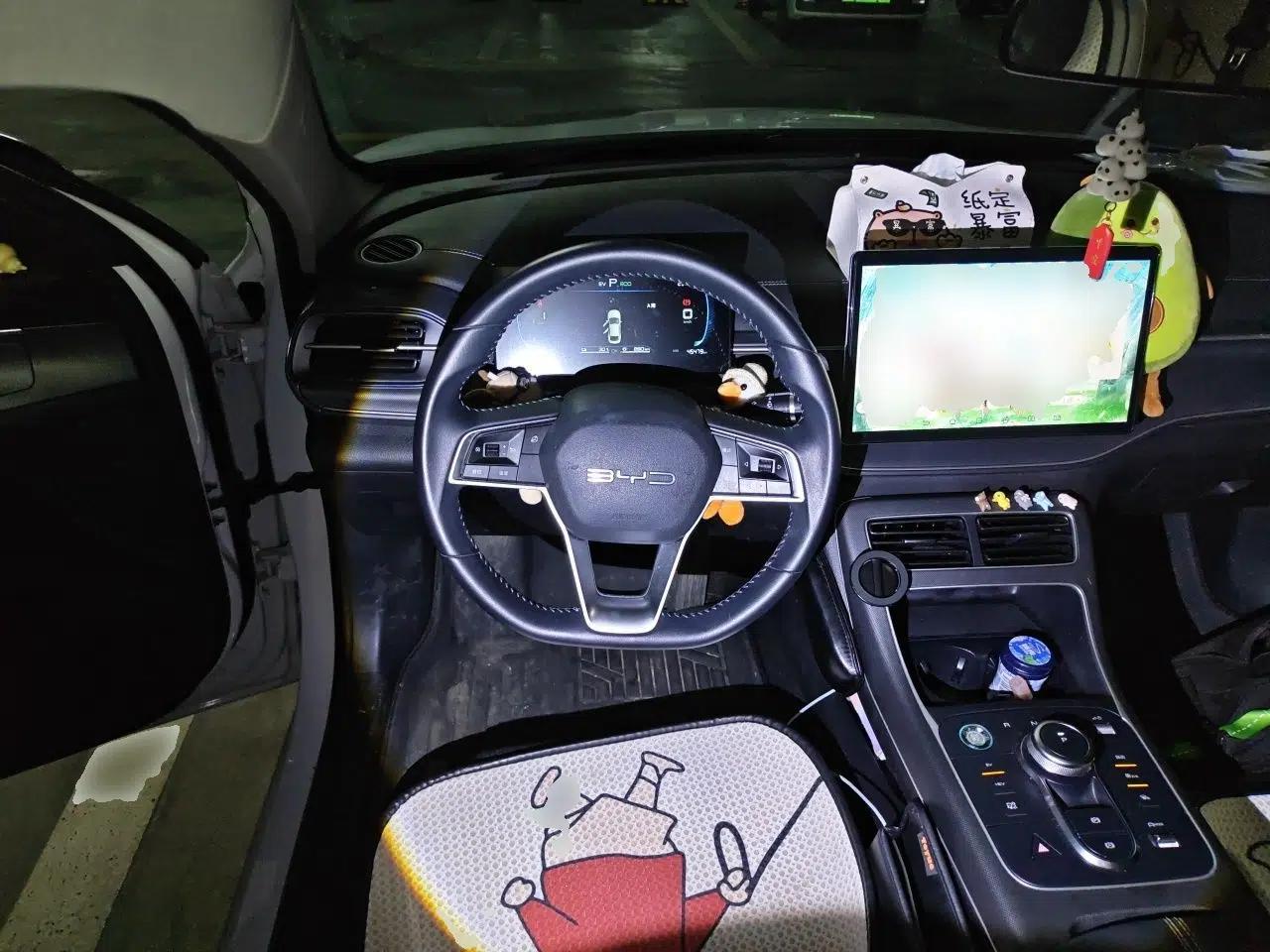 BYD Destroyer 05 2024 HONOR Edition DM-i 55KM Luxury Model — миниатюра 10